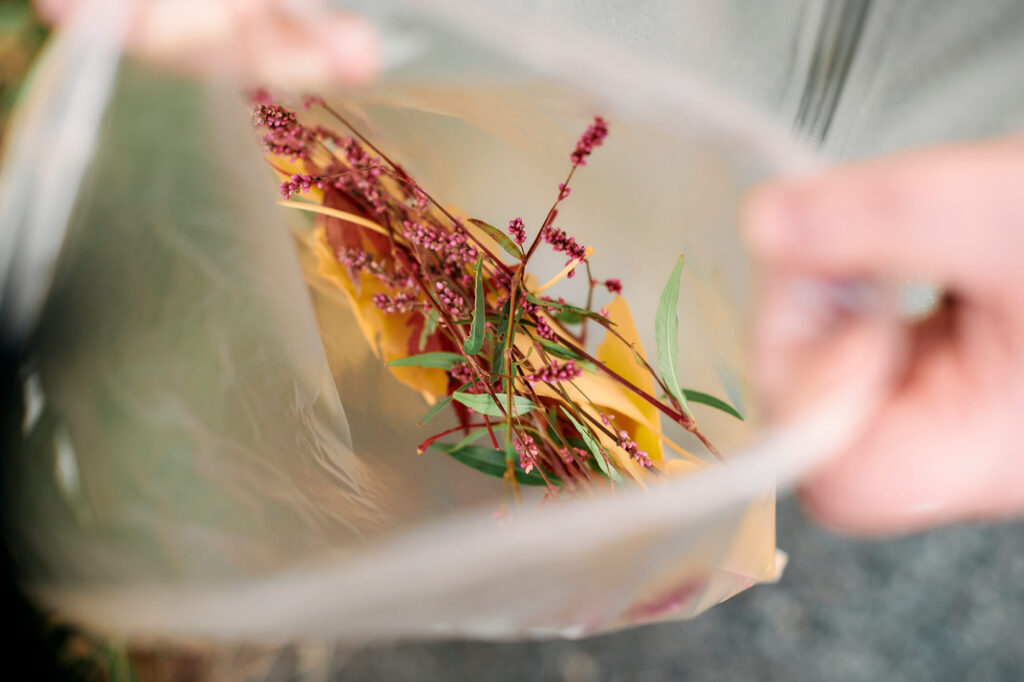 晶子さんが拾った葉や実